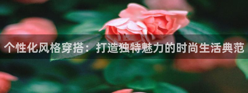 谈球吧官网在线入口免费观看高清版